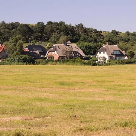 Reet Hausteile Sonnenkliff Und Kamp * Gager