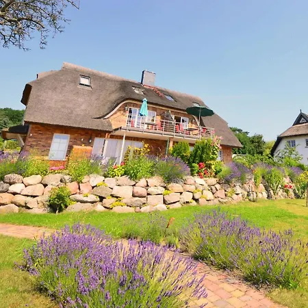Reet Hausteile Sonnenkliff Und Kamp Gager