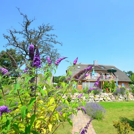 Reet Hausteile Sonnenkliff Und Kamp *