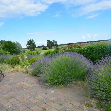 Reet Hausteile Sonnenkliff Und Kamp Apartment Gager